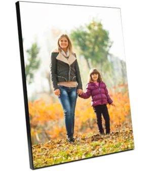 7 x 10" Wall Mount Photo Panel