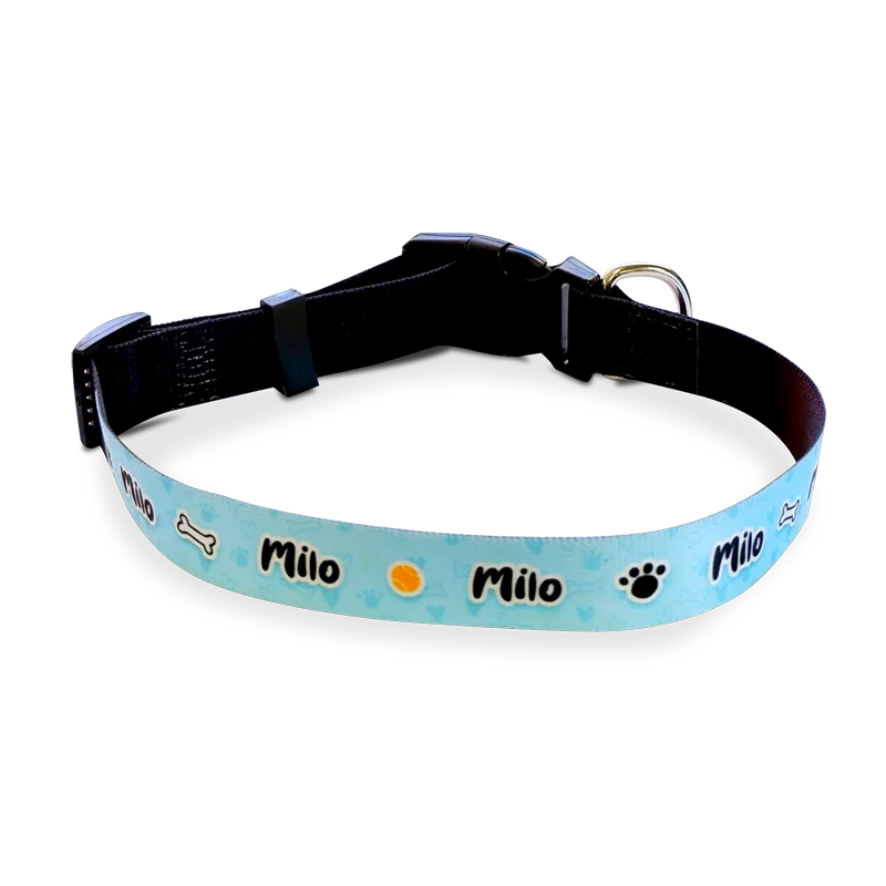 Large Printable Dog Collar